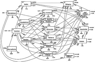 Socio-Ecological Networks: A Lens That Focuses Beyond Physics